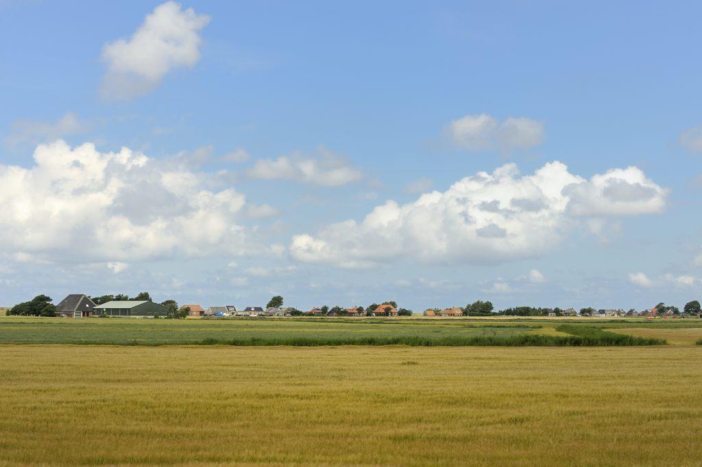 Beach-Dijkvilla Seaview Horizons Makkum Rum bild