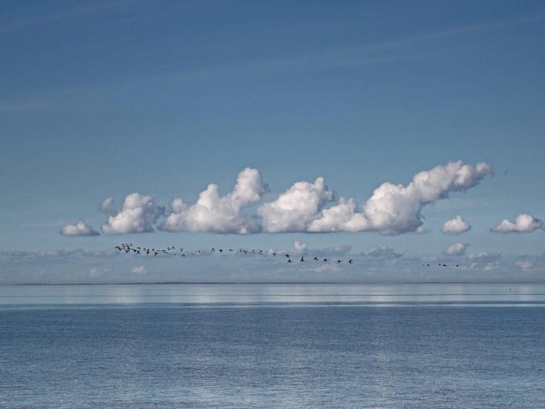 Beach-Dijkvilla Seaview Horizons Makkum Rum bild