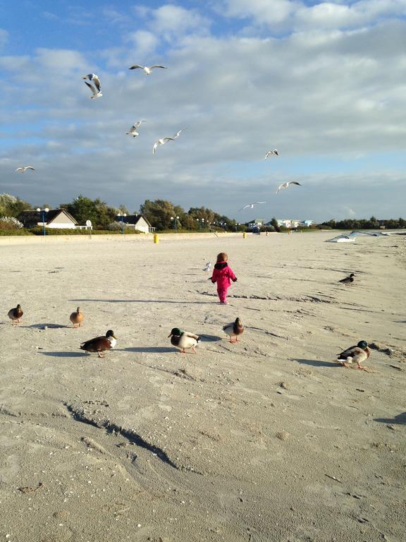 Beach-Dijkvilla Seaview Horizons Makkum Rum bild