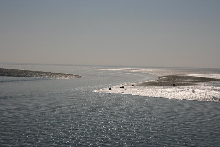 Beach-Dijkvilla Seaview Horizons Makkum Rum bild